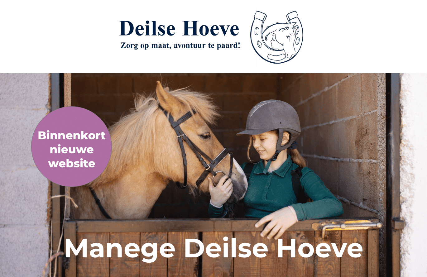 Ponyrijden in het park